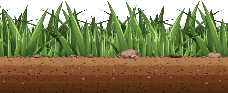 Grass Graphic Grass Graphic
